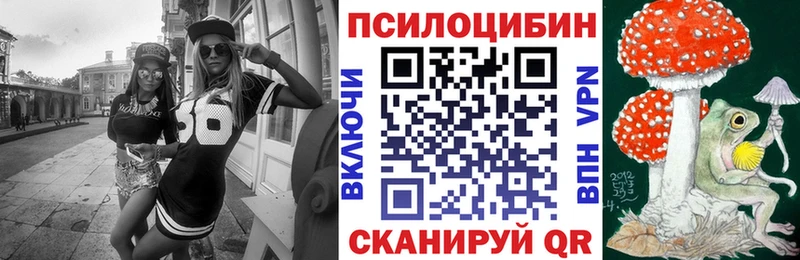 купить  сайты  Верхний Тагил  Псилоцибиновые грибы прущие грибы 